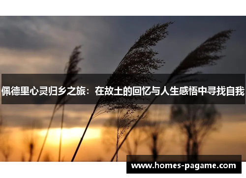 佩德里心灵归乡之旅:在故土的回忆与人生感悟中寻找自我 佩德里心灵归乡之旅:在故土的回忆与人生感悟中寻找自我
