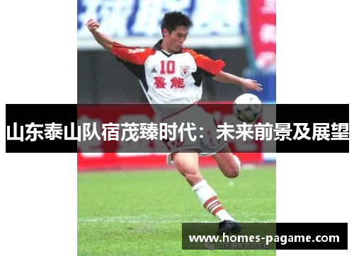 山东泰山队宿茂臻时代：未来前景及展望