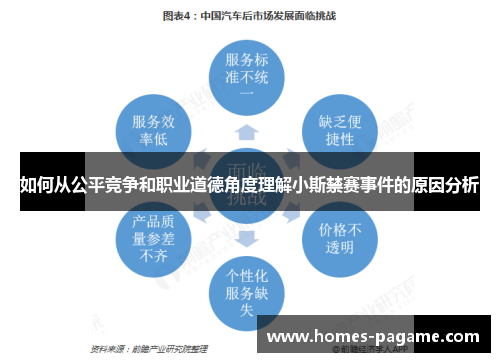 如何从公平竞争和职业道德角度理解小斯禁赛事件的原因分析