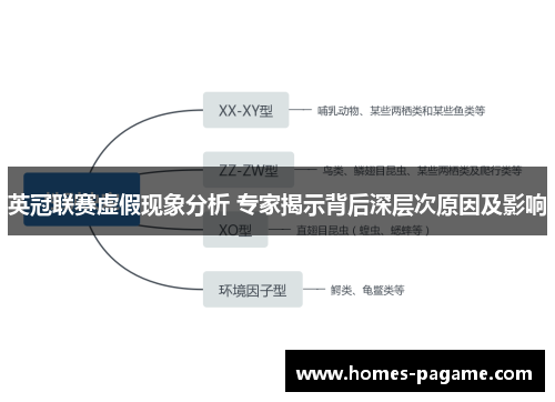 英冠联赛虚假现象分析 专家揭示背后深层次原因及影响