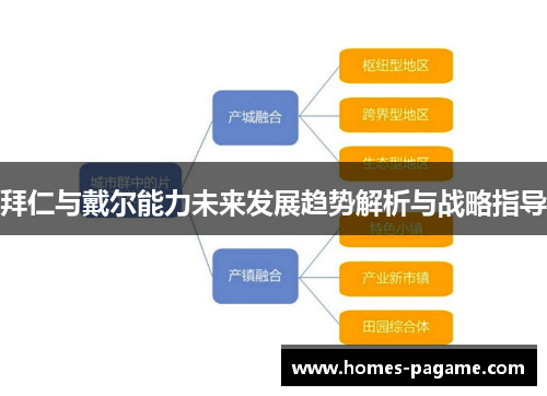 拜仁与戴尔能力未来发展趋势解析与战略指导