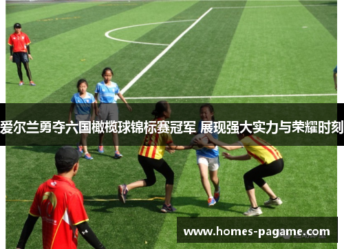 爱尔兰勇夺六国橄榄球锦标赛冠军 展现强大实力与荣耀时刻